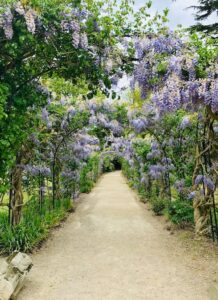 A beautiful and well-maintained garden.