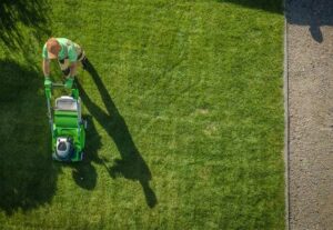 A gardener cuts the grass.