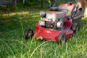 Mowing the lawn.